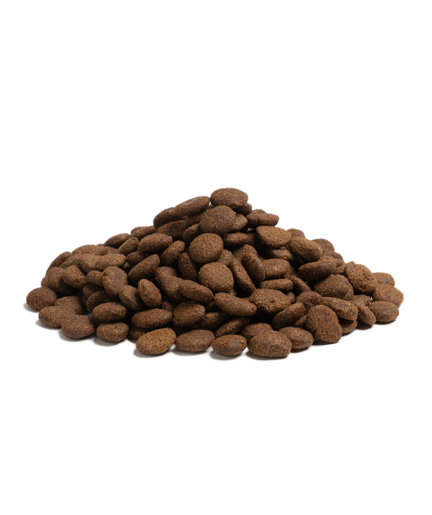 Essential Hvalpe The Beginning Large Breed - 10kg kornfrit hvalpefoder, der som voksne vejer over 15 kg
