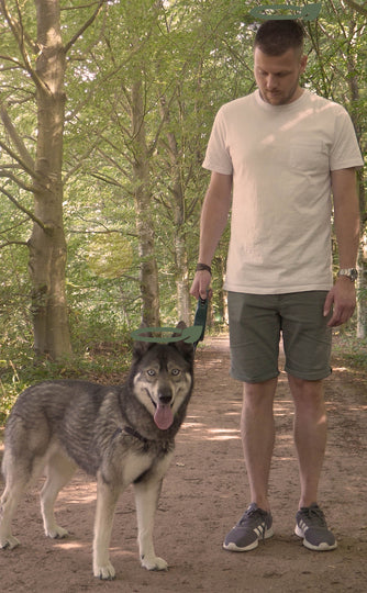 En mand, der leger apport med en hund og en Høm Høm hundeposer, miljøvenlige fra PoopyGo, 120 poser (8 ruller á 15 poser).