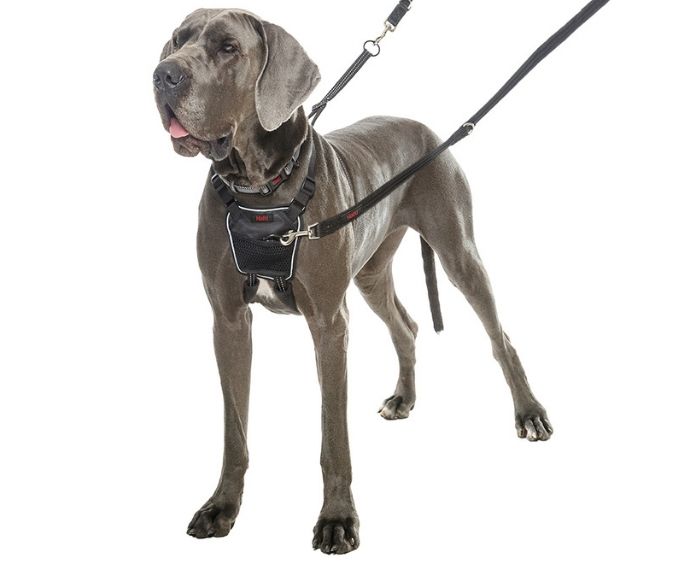 NO-PULL Harness, træningssele til hunde der trækker