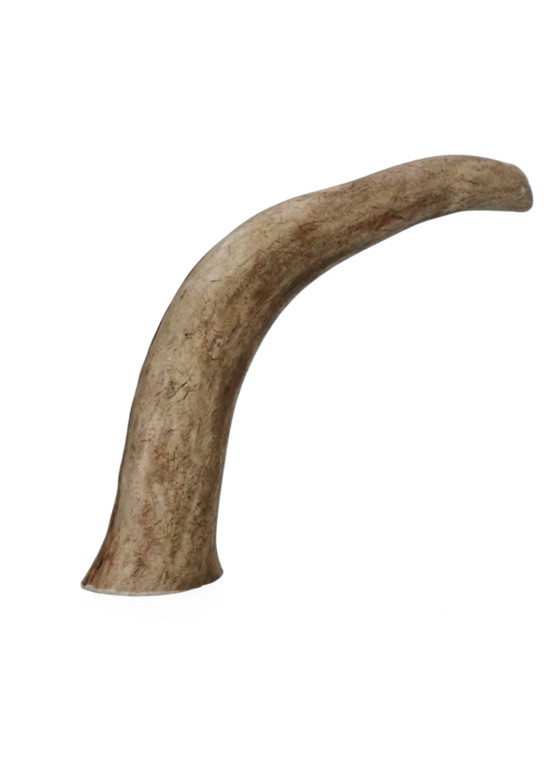Hård Kronhjortegevir viking horn til hunde (Flere størrelser)