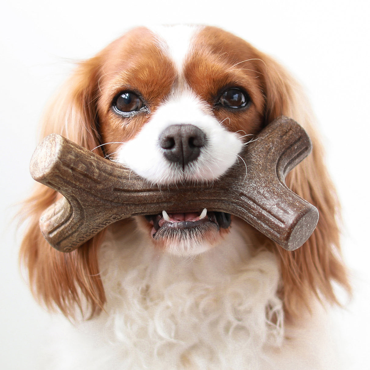 Tyggeben til hunde - Benebone Maplestick