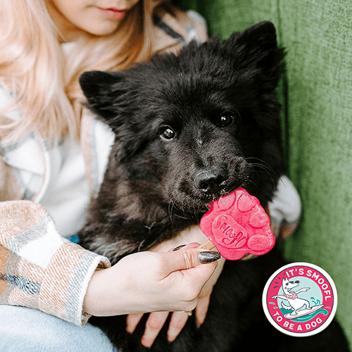 Smoofl is mix til hunde med vandmelon