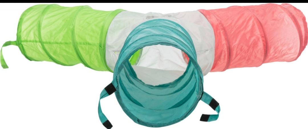 Stor gnavertunnel med 4 indgange