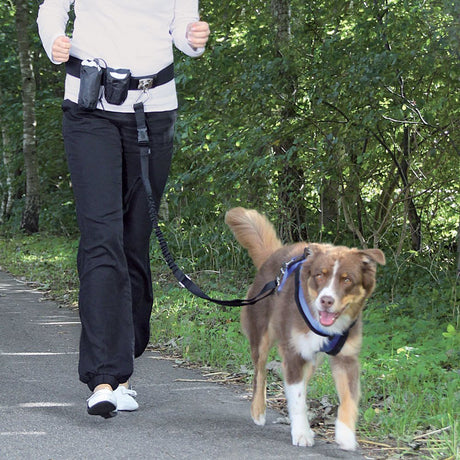 Hundesnor/line - Bælte med hundeline, fx til joggere - Hvor kæledyr ville handle - Foderboxen.dk