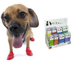 En hund står foran en pakke Pawz hundesko hundesko.