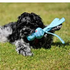 Hundelegetøj - Hundelegetøj, slidstærkt til hvalpe, Kong Wubba - Hvor kæledyr ville handle - Foderboxen.dk