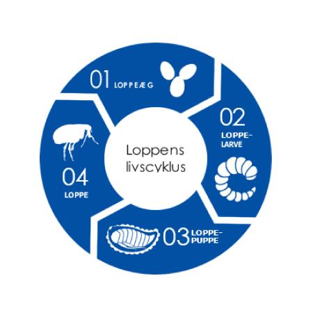 En blå og hvid cirkel med ordene Loppespray til omgivelserne, Frontline Homeguard Spray.