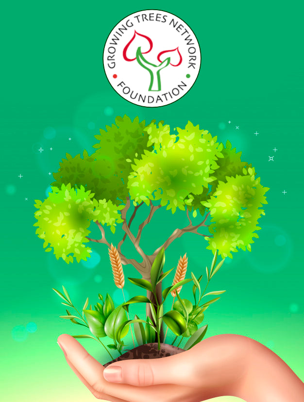 En hånd der holder et Uswithpets.dk Et stk plantet træ med grøn baggrund.