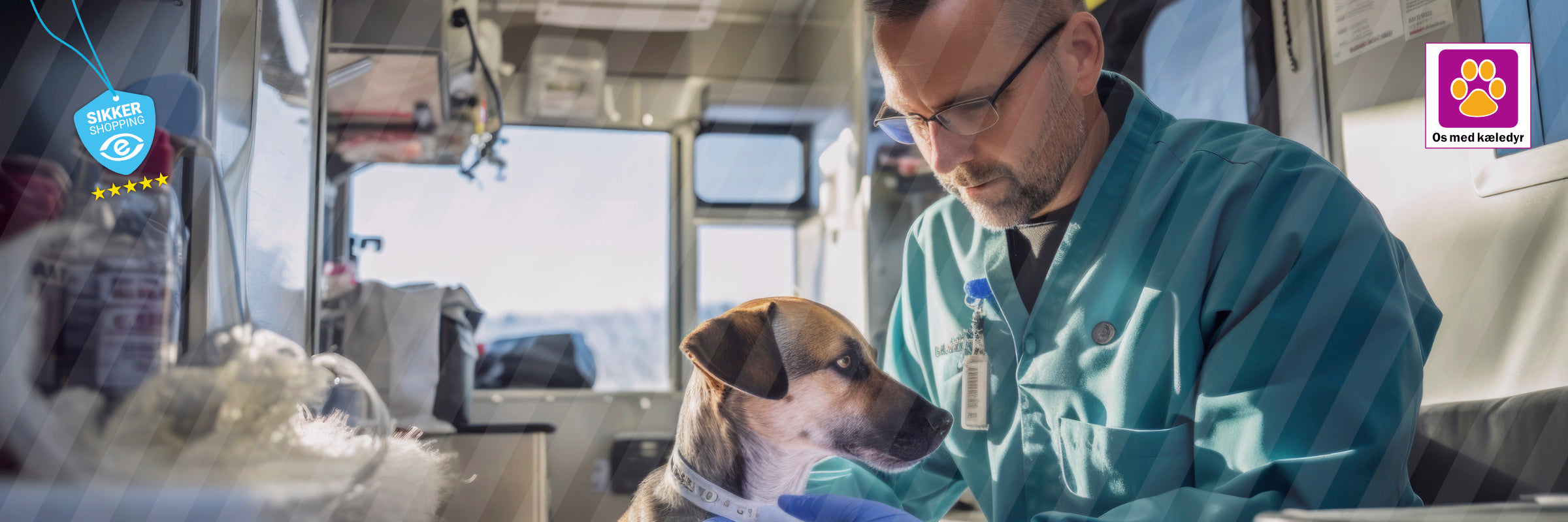 Akut hjælp til kæledyr – sådan handler du i nødsituationer (Danmark akut tlf. 1819)