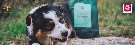 Bag ved skålen: Sådan tilberedes ESSENTIAL FOODS‑måltiderne