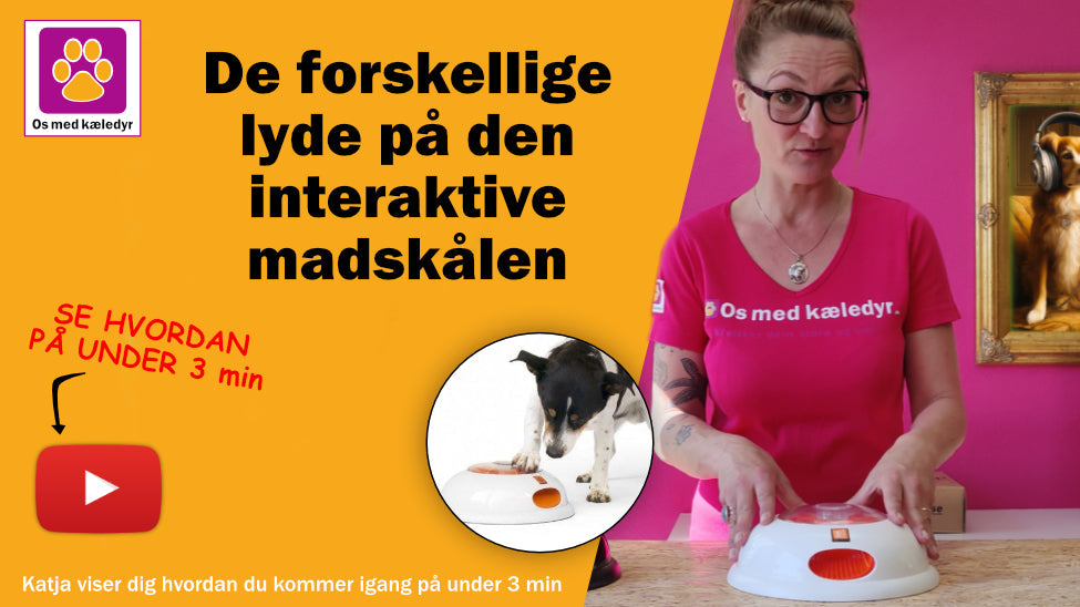 De forskellige lyde på den interaktive madskålen
