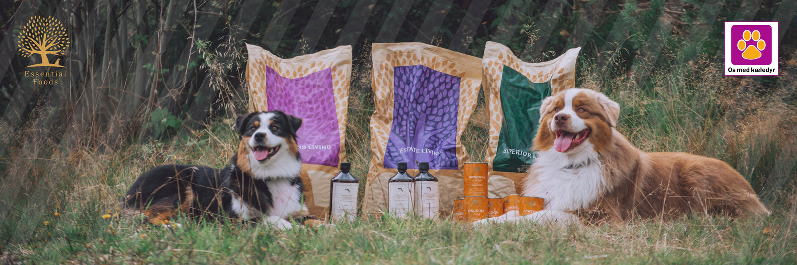 Derfor er Essential Foods blandt verdens bedste hundefoder