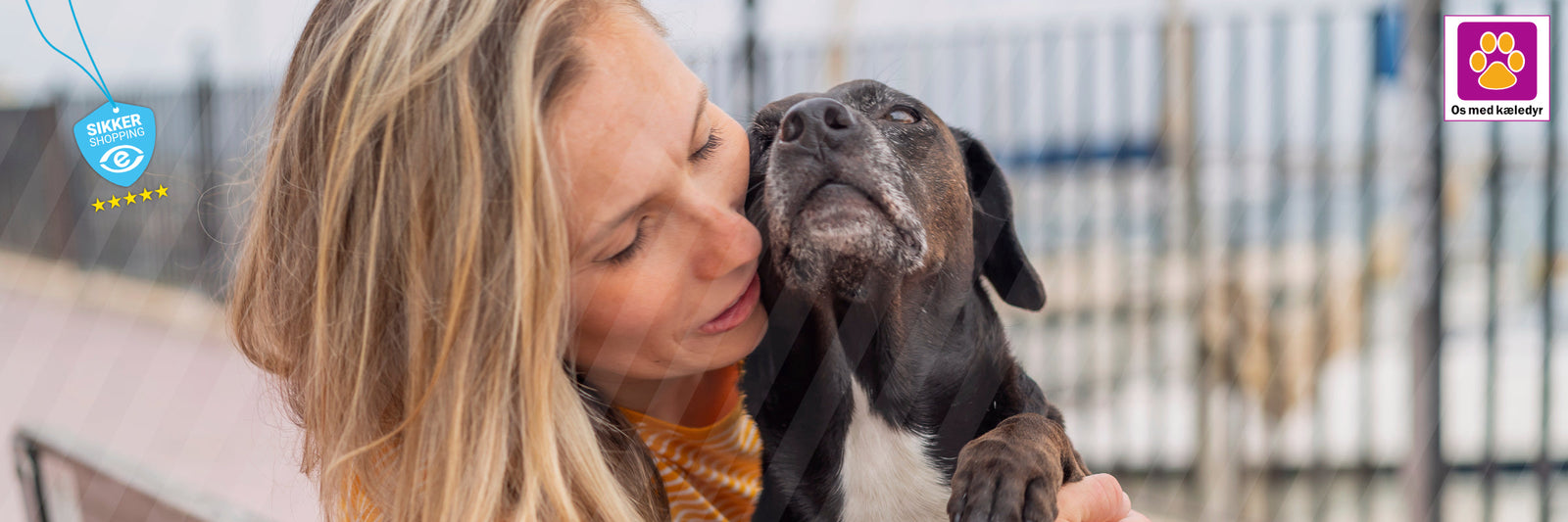 Din hunds liv i faser – hvad den har brug for fra hvalp til senior