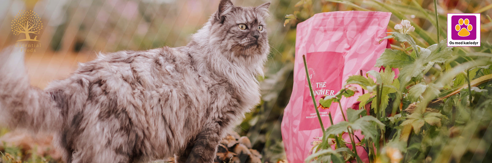 ESSENTIAL FOODS til kat – En komplet guide til sundhed i hver eneste bid