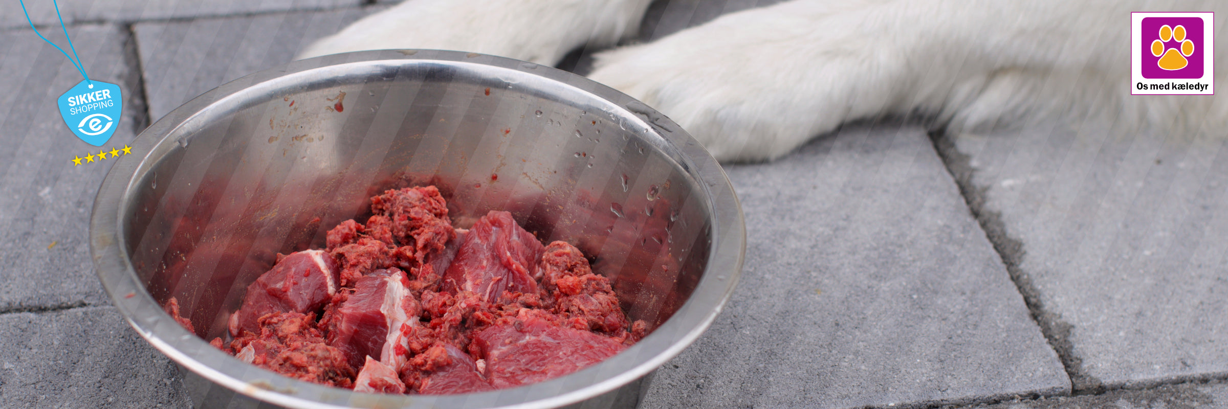 BARF til hund - sundt eller farligt? Få sandheden her