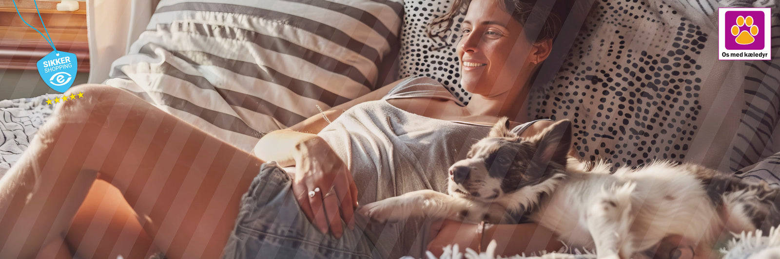 Gør hverdagen bedre for dig og din hund – små ændringer med stor effekt