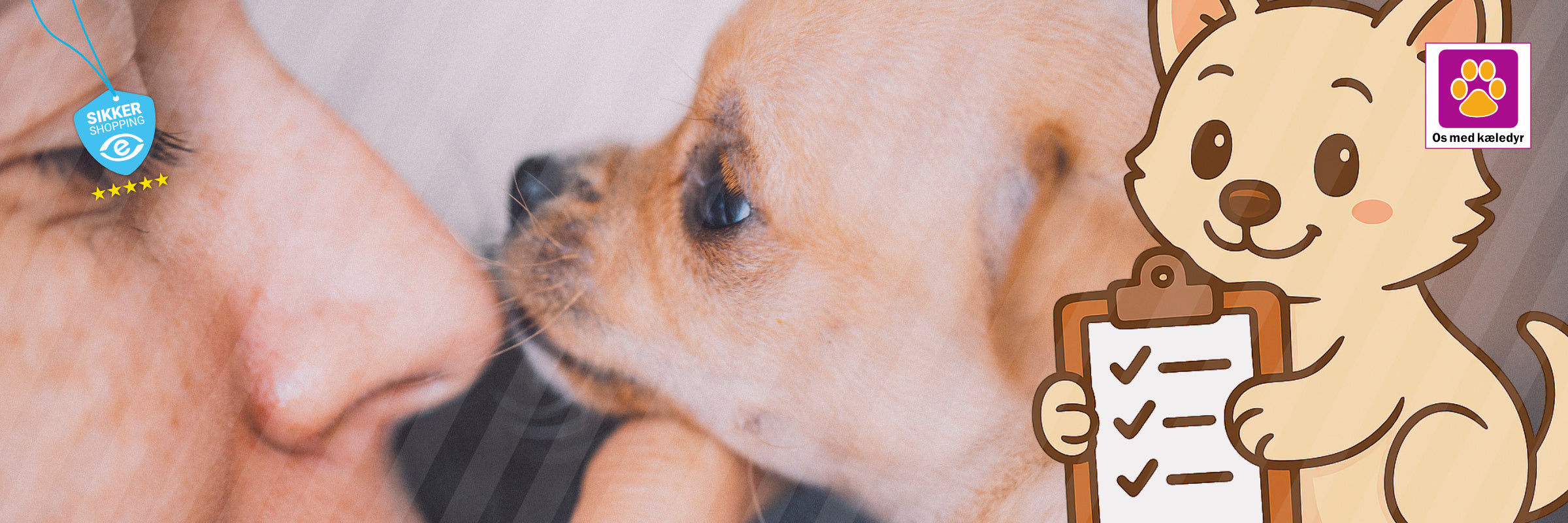 Hvalpe-essentials tjekliste: alt du skal bruge til din nye hvalp