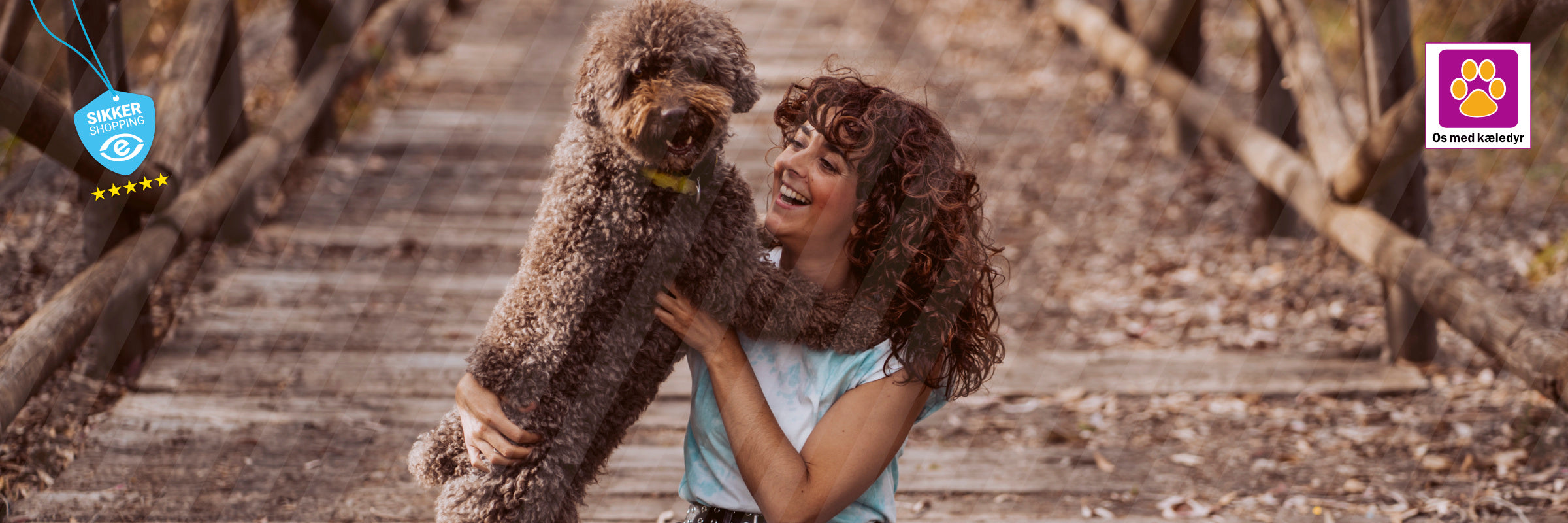 Hvilken hund passer til mig?