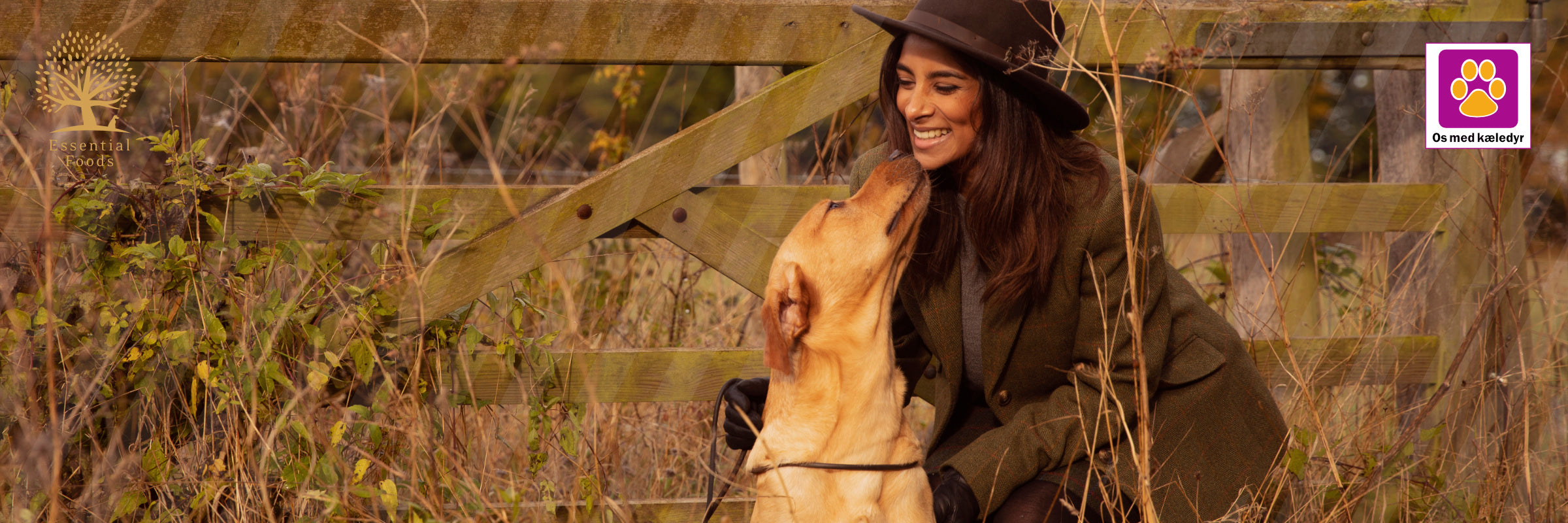 Hvordan ESSENTIAL FOODS hjælper med at frisk lufte hundens mund