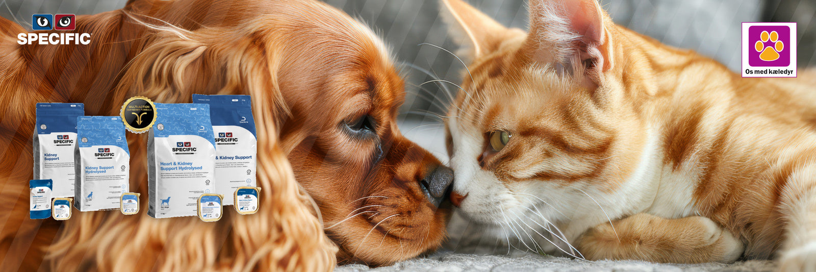 Hvordan kan ernæring støtte hunde og katte med nyresygdom?