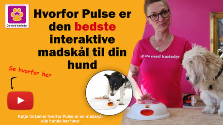 Hvorfor Pulse er den bedste  interaktive madskål til din hund