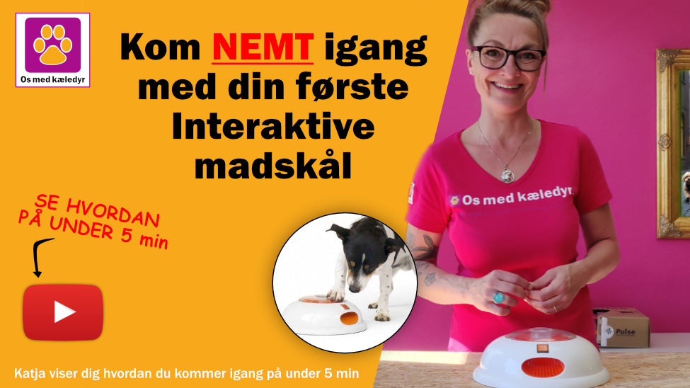 Din Hunds Første Interaktive Madskål Pulse fra NorthMate