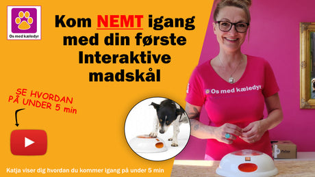 Kom NEMT i gang med din første Interaktive madskål