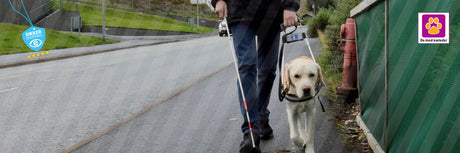 Vi er stolte af at levere hundefoder til Dansk Blindesamfunds førerhunde 🐾