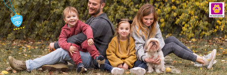 Ny hund i hjemmet? Den ultimative guide til udstyr og foder