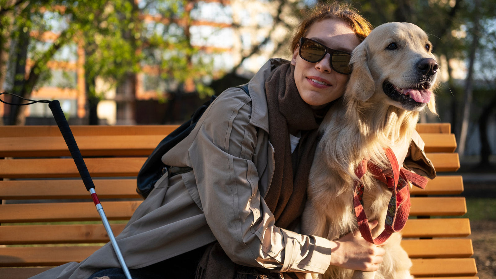 Omgåelse af Førerhunde: 5 Vigtige Tips til Interaktion