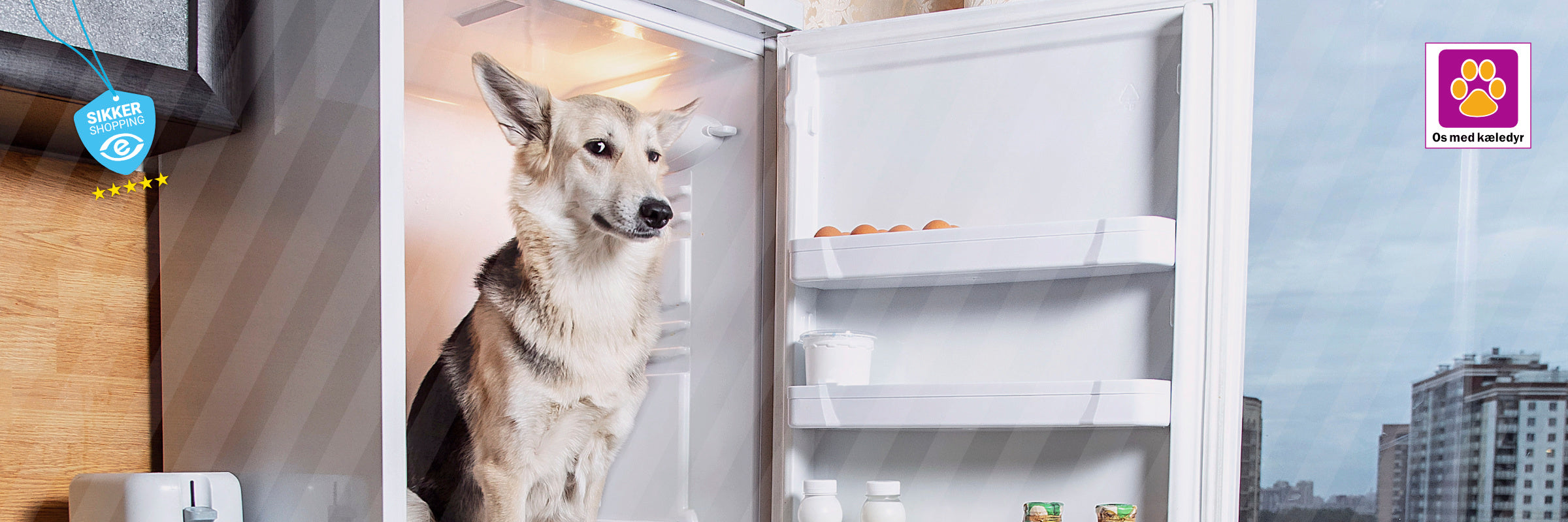 Puppy proof dit hjem – 12 ting du skal tjekke før hvalpen flytter ind