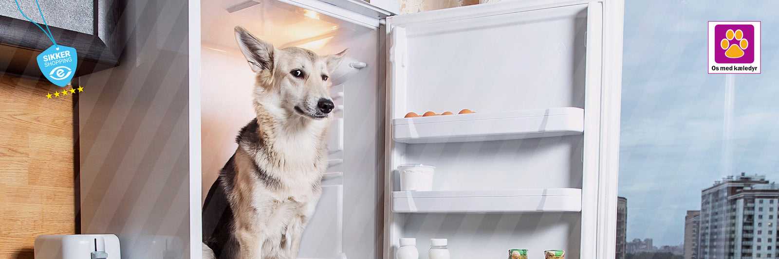 Hvalpesikre dit hjem – 12 ting du skal tjekke før hvalpen flytter ind