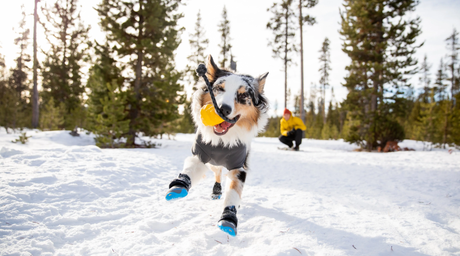 Polar Trex™ Hundestøvler til Sne _ Ruffwear _ Ruffwear