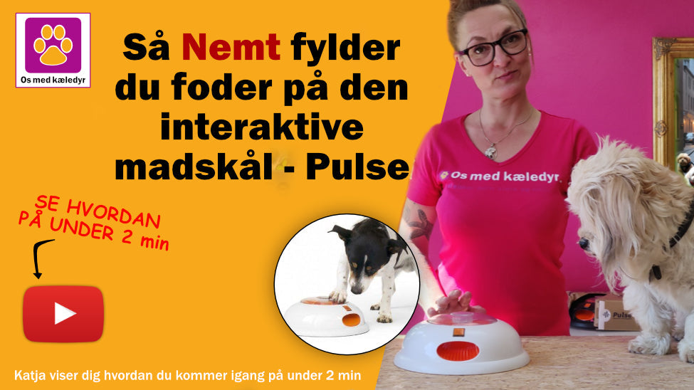 Sådan Fylder Du Foder på Din Pulse Madskål fra Northmate