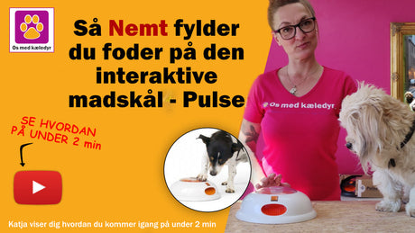 Sådan Fylder Du Foder på Din Pulse Madskål fra Northmate