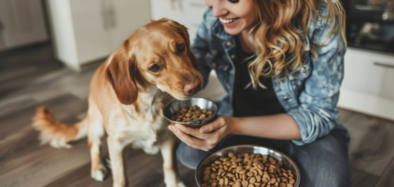 Sådan beregner du den rette fodermængde til din hund