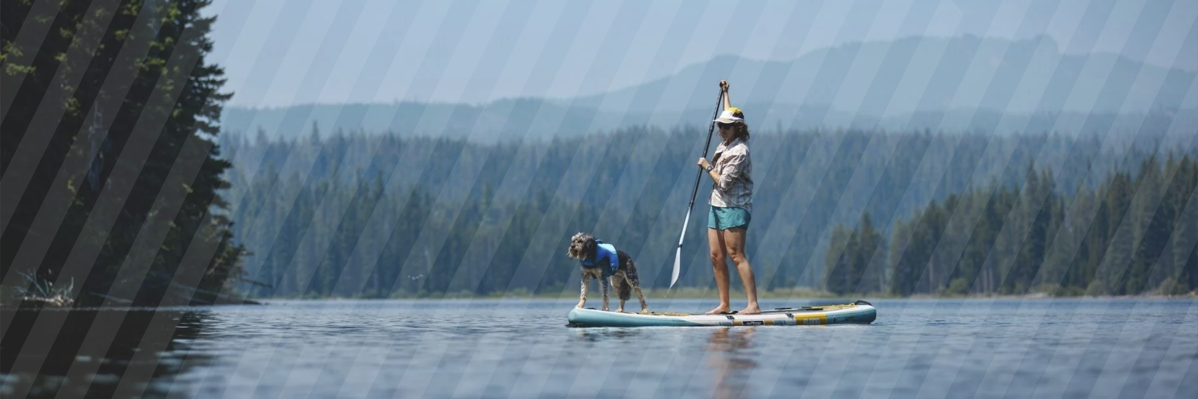Sådan kommer du i gang med paddleboarding med din hund