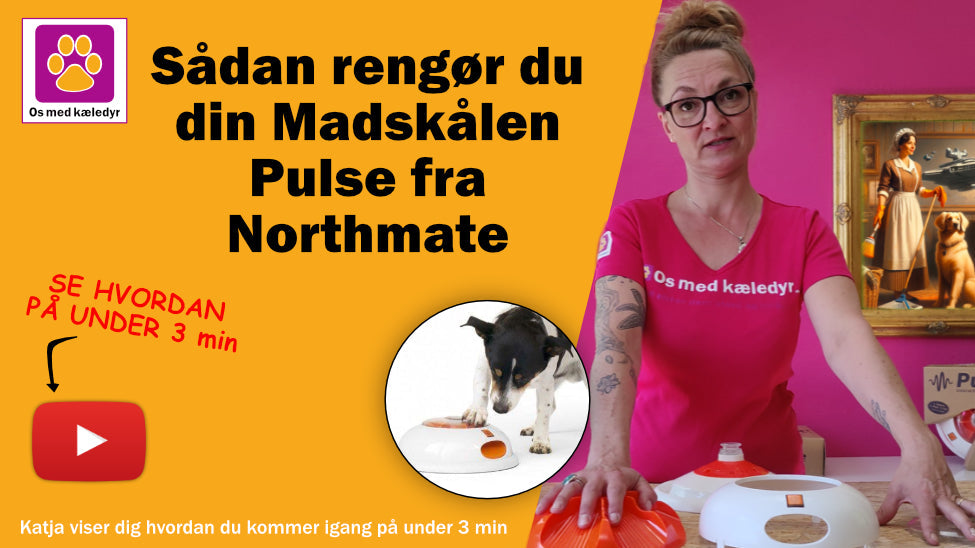 Sådan rengør du din Madskålen Pulse fra Northmate
