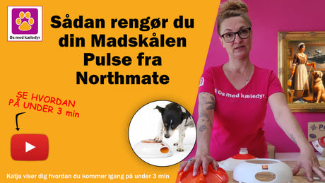 Sådan rengør du din Madskålen Pulse fra Northmate