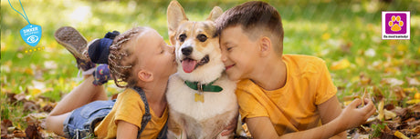 Sådan vælger du den bedste hund til dine børn