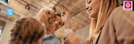 Sunde godbidder til hunde