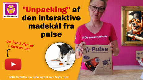 Unpacking af den interaktive madskål fra pulse hos os med kæledyr