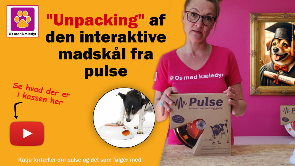 Unpacking af den interaktive madskål fra pulse hos os med kæledyr