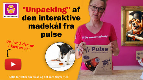 Unpacking af den interaktive madskål fra pulse hos os med kæledyr