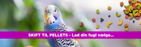 Skift til pellets - "Lad din fugl vælge" metode