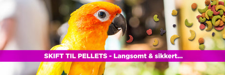 Skift til pellets - Langsomt & sikkert
