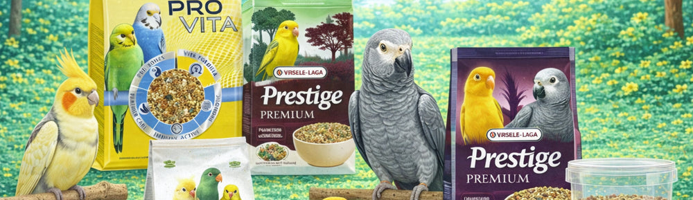Fuglefoder