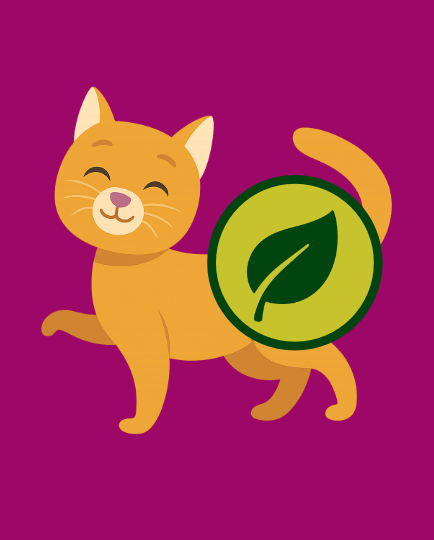 Kattemad til allergiske katte