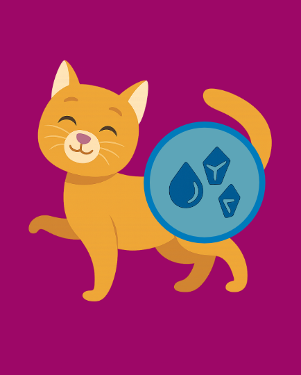 Struvitfoder til katte – Foder mod urinvejssten og krystaller