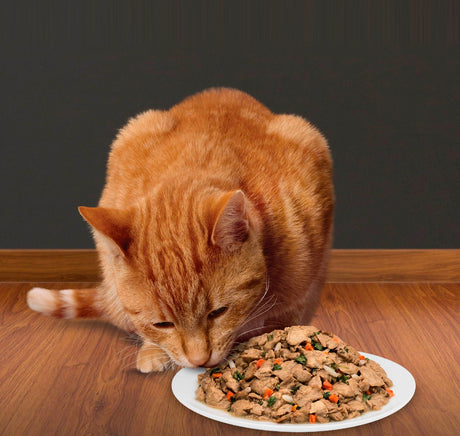 Vådfoder - Sygdomsdiæt til katte